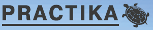 PRACTIKA